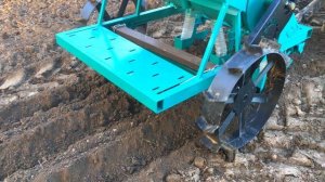 Купил САЖАЛКУ чеснока от Болтенкова