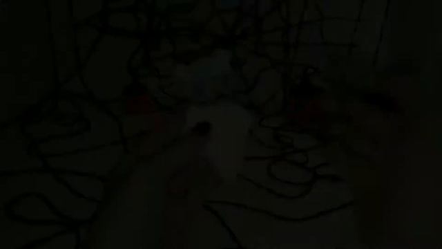 Cheshirе cat from lol/custom/Из лол в чеширского кота? смотреть онлайн