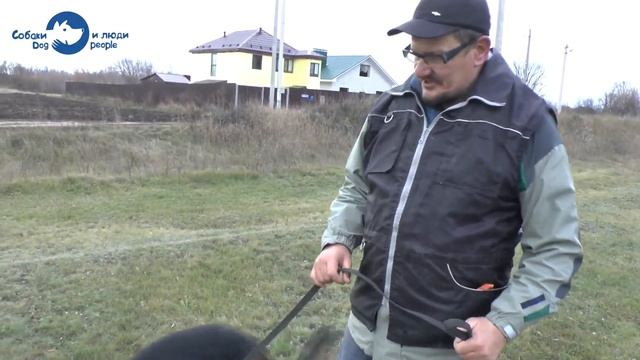 Отучить пылесосить или как научить собаку не есть с земли? (Инструктор Андрей Курбатов) смотреть онлайн