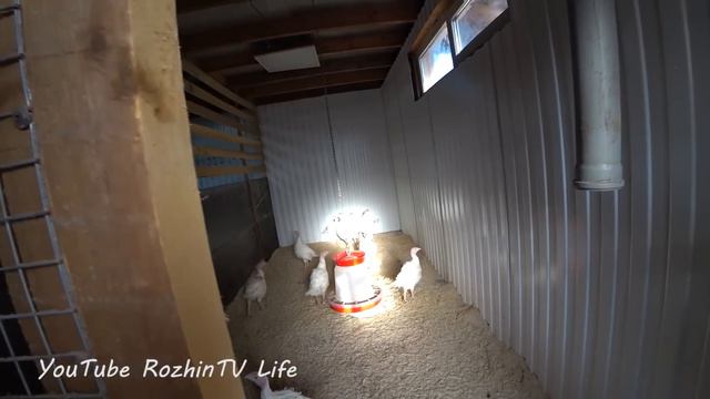 Пора прощаться с ней. Маша обиделась. Мыши, цветы и снежные горы смотреть онлайн