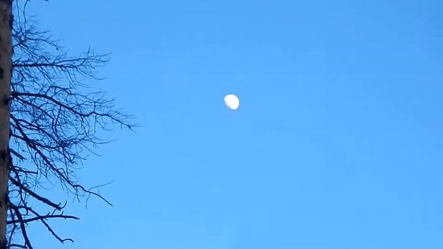 Nikon Coolpix L830 Zoom Test - Video смотреть онлайн