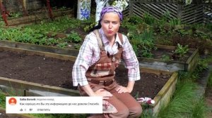 Тонкости посадки лука-севка. Когда сажать лук севок.