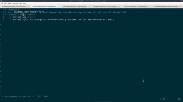 PPP 031002 - The Private Testnet смотреть онлайн