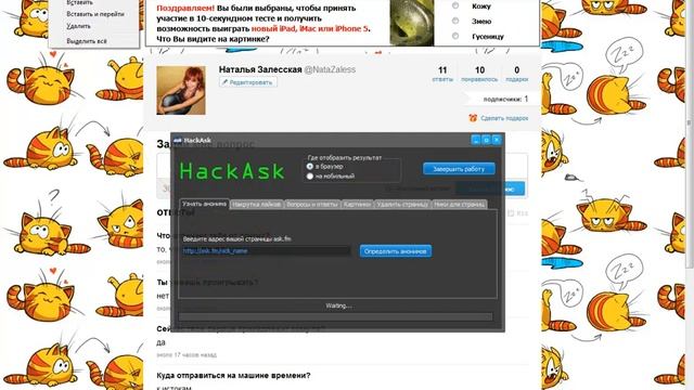 Hackask - узнать анонимов на ask.fm смотреть онлайн