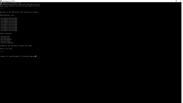 Using the Composer PHP package manager смотреть онлайн