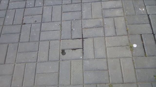 Погода в Волгограде