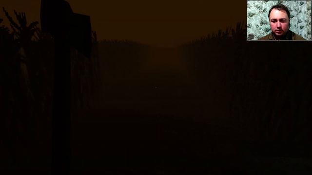 Ожидание и Реальность - LANGUISH и ZARDY's MAZE смотреть онлайн