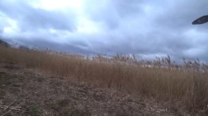 Долгожданные огороды. Коп с MD Nokta Makro Simplex plus