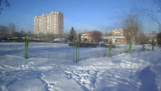 Сибирь, декабрь 2016 г., а листья на деревьях не опали. смотреть онлайн