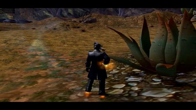 Aion алоэ.mp4 смотреть онлайн