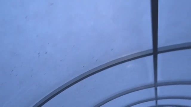 Обзор арочной теплицы у ТЕЩИ. смотреть онлайн