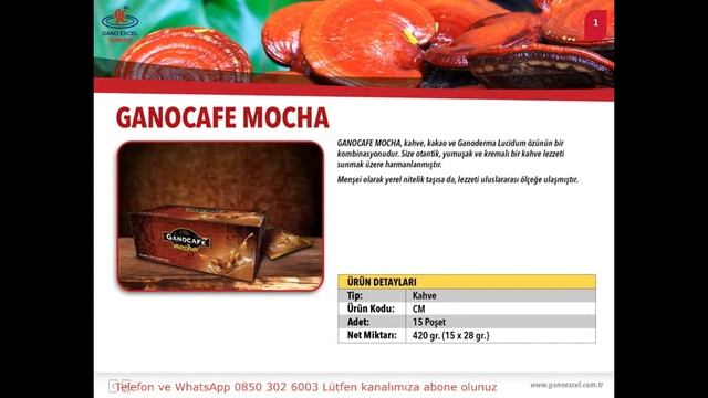 Gano Excel GanoCafe Mocha Moka Kahve ve Faydaları смотреть онлайн
