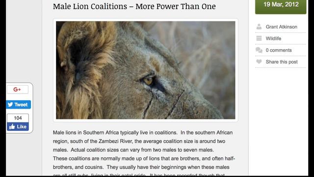 Are Live Action Disney Movies the Same as the Animated Films? смотреть онлайн