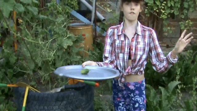 Мой первый урожай. Замечательный огурец ! смотреть онлайн