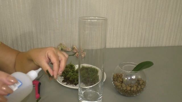 Как вырастить детку орхидеи на срезанном цветоносе фаленопсиса. смотреть онлайн