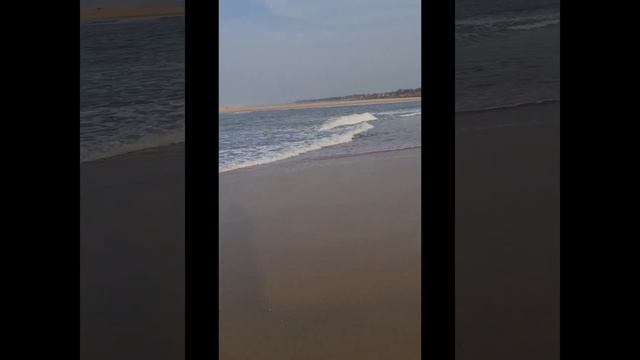 Lotus Eco Resort in Konark Odisha a beautiful views and nice place of relaxation смотреть онлайн