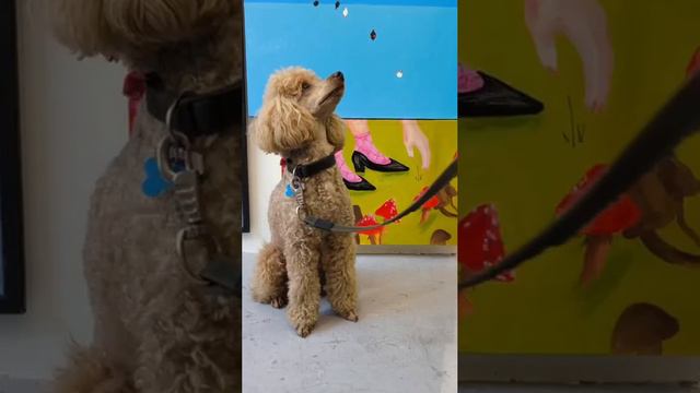 Открытие выставки «ЛЕТО ЗДЕСЬ» в Галерее Здесь на Таганке смотреть онлайн