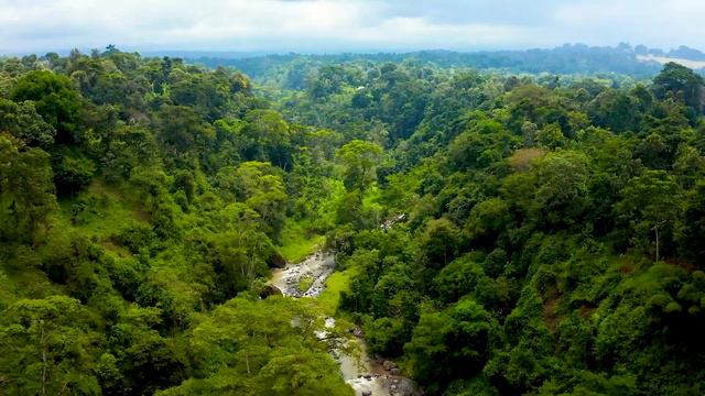 Time Alone With God : Instrumental Worship, Meditation & Prayer Music With Nature 🌿CHRISTIAN Piano