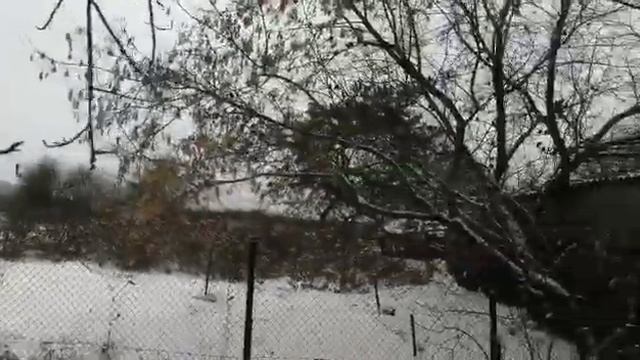 Сезонные изменения в живой природе смотреть онлайн