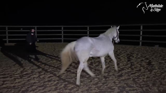 MA NIGHT ROUTINE AUX ÉCURIES ?  Les Coulisses De Notre Quotidien #equitation