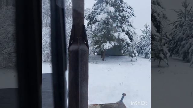 чистим дорогу к дому смотреть онлайн