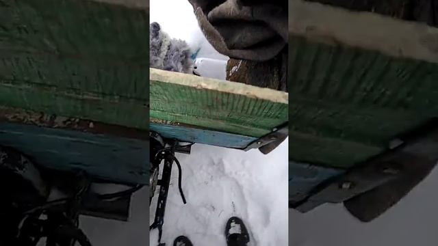 Холодный (зимний) запуск муравья смотреть онлайн