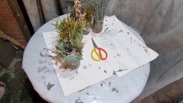 Зачем Платить Больше?Этим Простым Способом Вы Размножите Много Туй и Можжевельников для Участка! смотреть онлайн