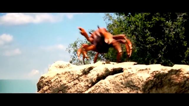 //Crab Rave 10 Hours//Волна крабов 10 часов// смотреть онлайн