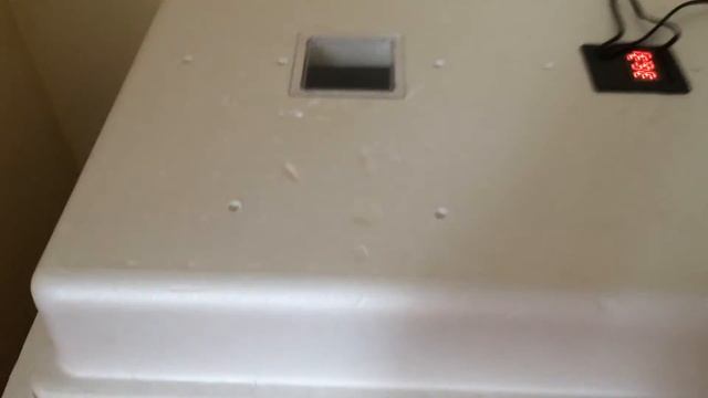 Инкубатор несушка 104 яйц смотреть онлайн