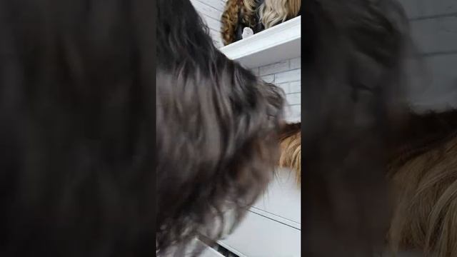 Система замещения волос Здесь больше выбора!!! смотреть онлайн
