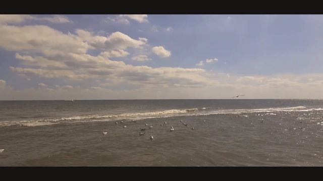 Чайка Песня о любви Евгений Беляев смотреть онлайн