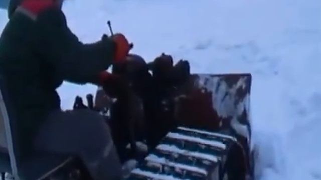 Самодельная техника Азизовых 13 смотреть онлайн