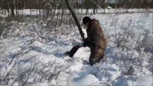 Работа волчатников Саха (Якутия). Видео от волчатника Вадима Георгиевича Николина.