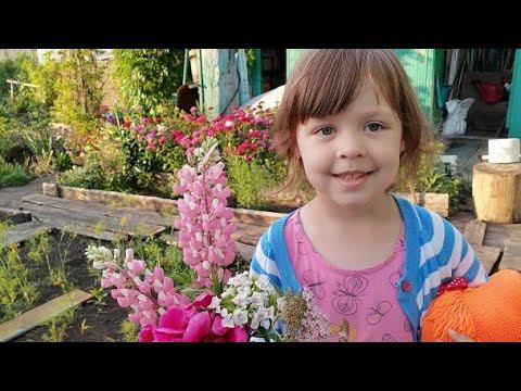 08.07.2023 Первый огурец самый вкусный/С внучкой даже болеть некогда..