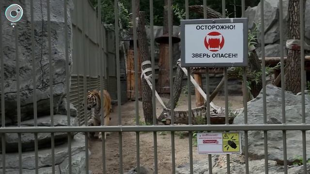 Новосибирский зоопарк изменил режим посещения смотреть онлайн