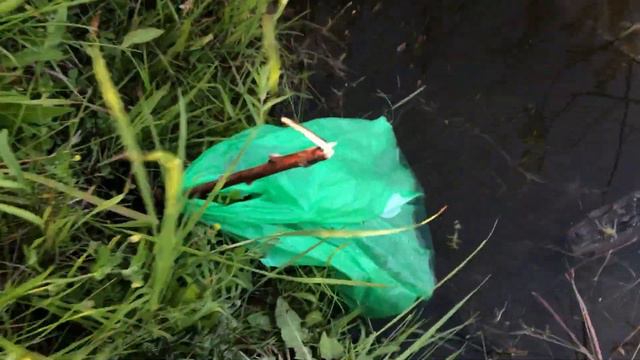 Паша и Дип на рыбалке! Рыбалка на карася. смотреть онлайн