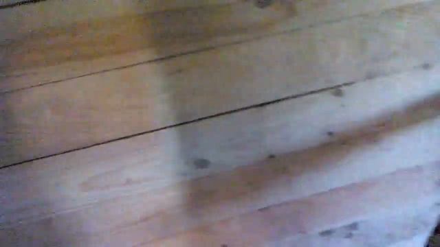 курятник 1.5 м на 2.8 м смотреть онлайн