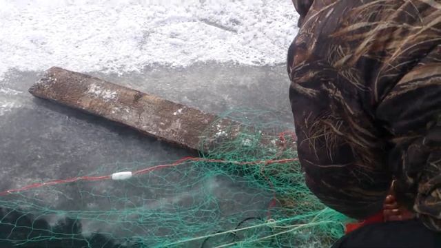 Арктический Голец смотреть онлайн