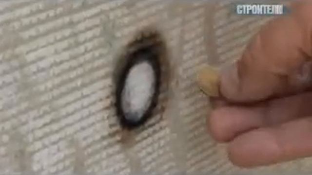 Эколист сюжет ролик смотреть онлайн