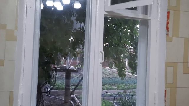 Первая клубничка???? начался небольшой ремонт...розы расцветают? смотреть онлайн