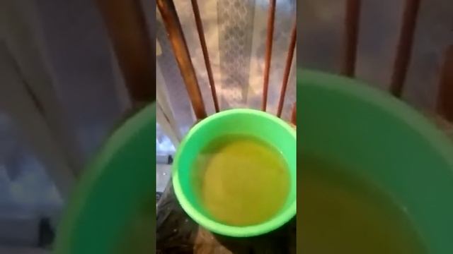 выбор яйца на инкубации смотреть онлайн