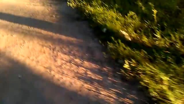 когда родители отобрали велик ,а брат мелкей смотреть онлайн