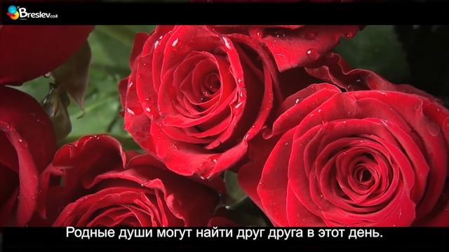 15 ава – День любви | Рав Шалом Аруш смотреть онлайн