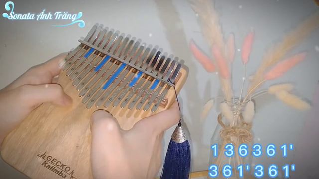 SONATA ÁNH TRĂNG - BEETHOVEN KALIMBA COVER смотреть онлайн