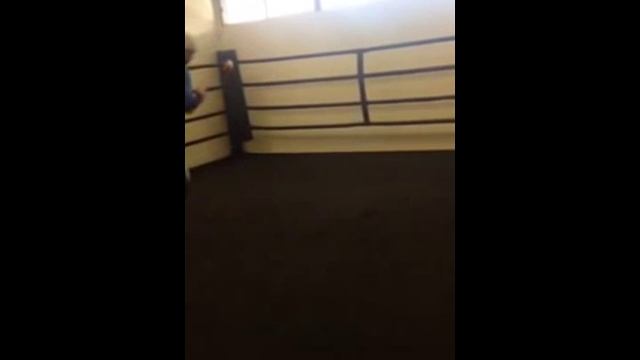 Fight Ball! Vasyl Lomachenko Workout ☯ Василий Ломаченко