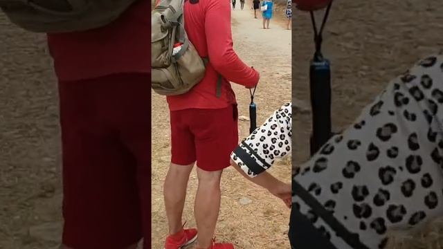 Археологический парк в Пафосе 2019 смотреть онлайн