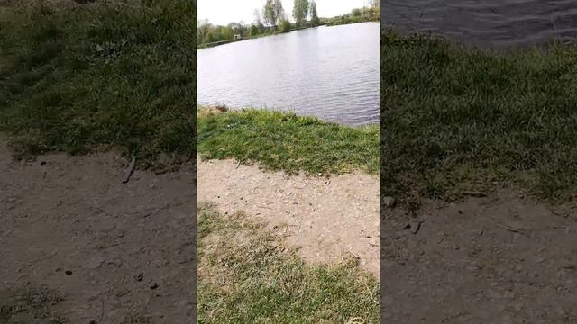 Выходные с пользой смотреть онлайн