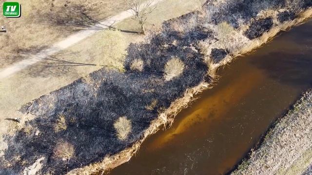 Автомобилисты Латвии и Украины становятся ближе. Горит трава . 19.04.22