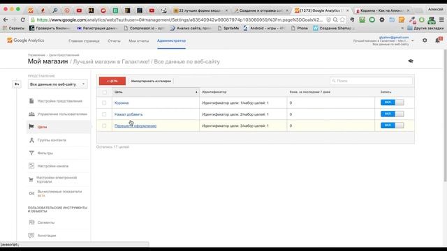 Интернет-магазин на WordPress: следим за пользователями - Урок 12 смотреть онлайн