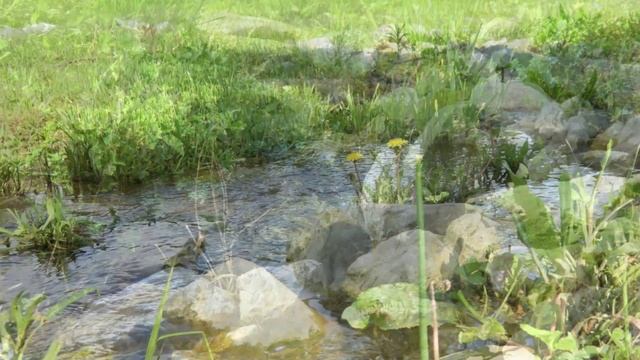 Camera Test смотреть онлайн